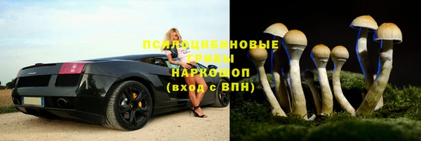 2c-b Богородск