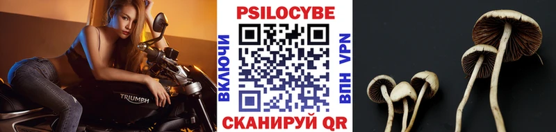 Галлюциногенные грибы GOLDEN TEACHER  Купить где  Великие Луки 